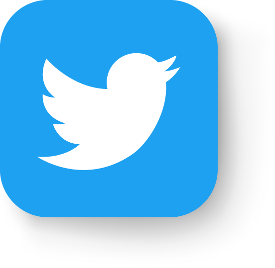 Twitter Icon