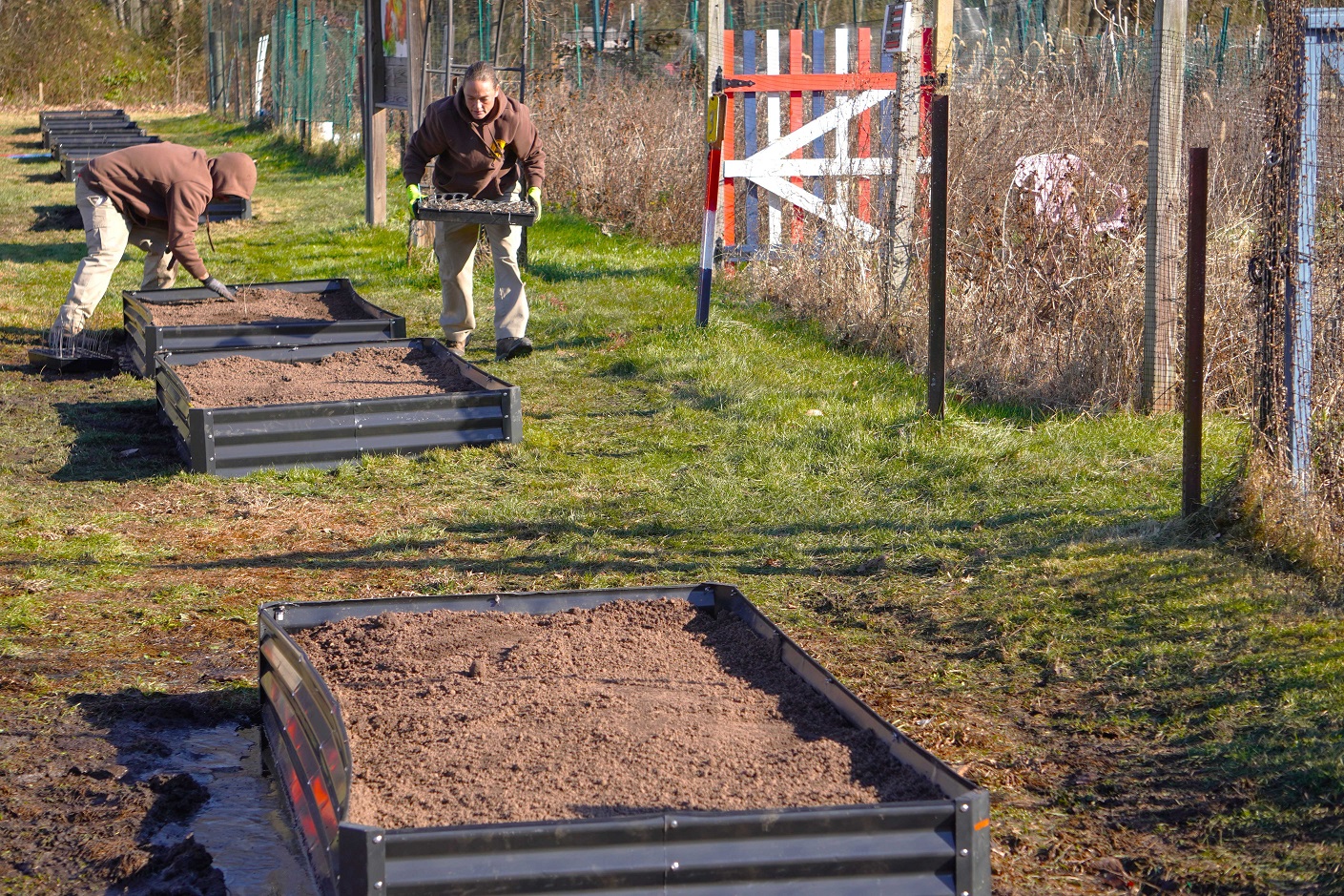 Pollinator Installation 3