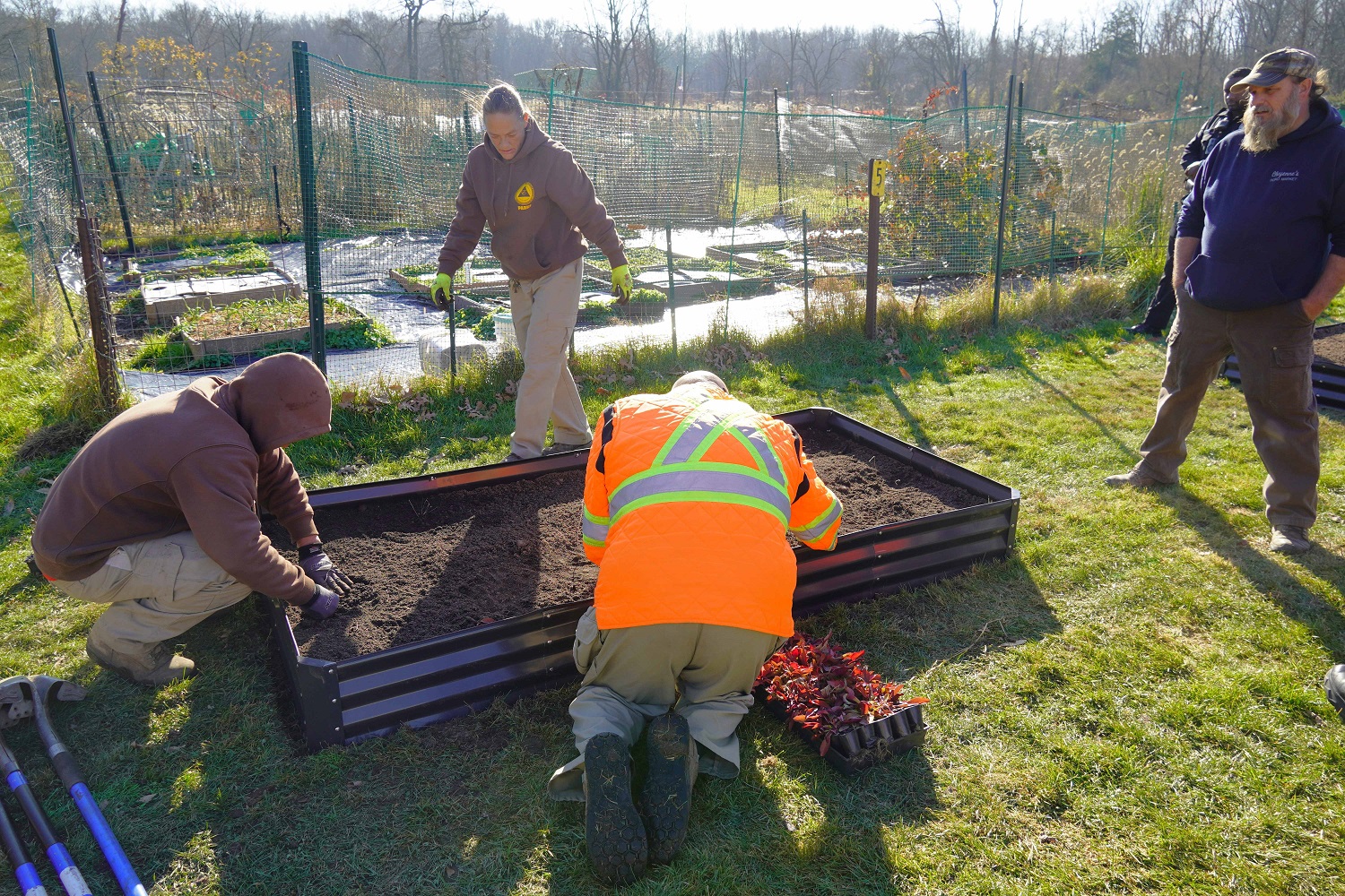 Pollinator Installation 4