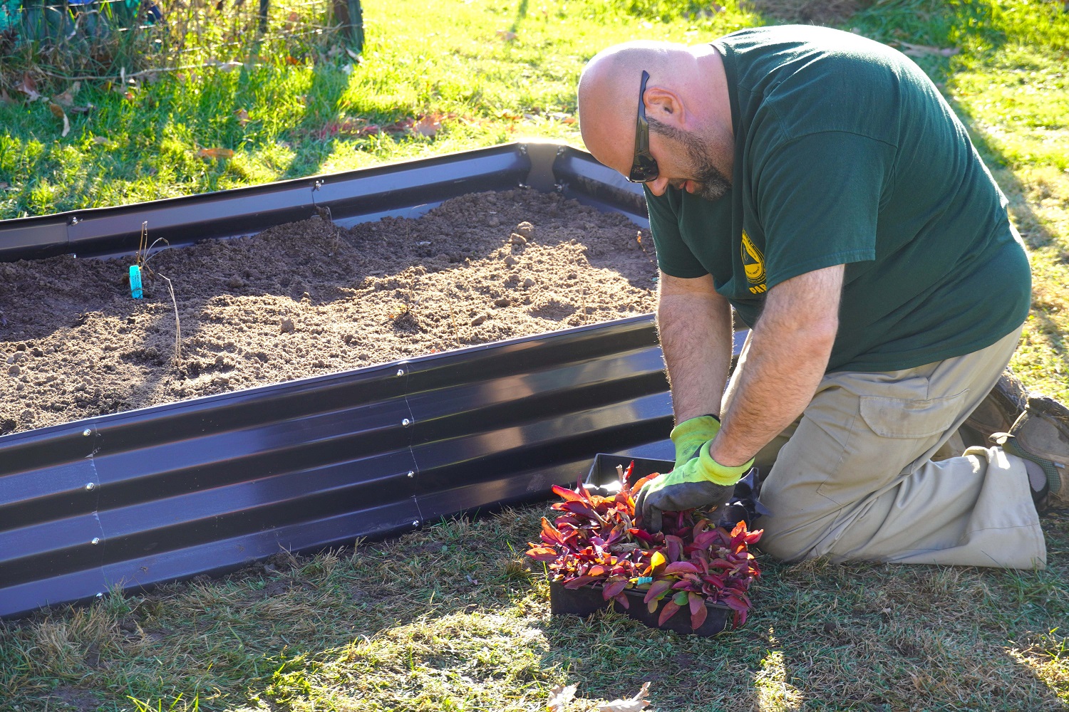 Pollinator Installation 7